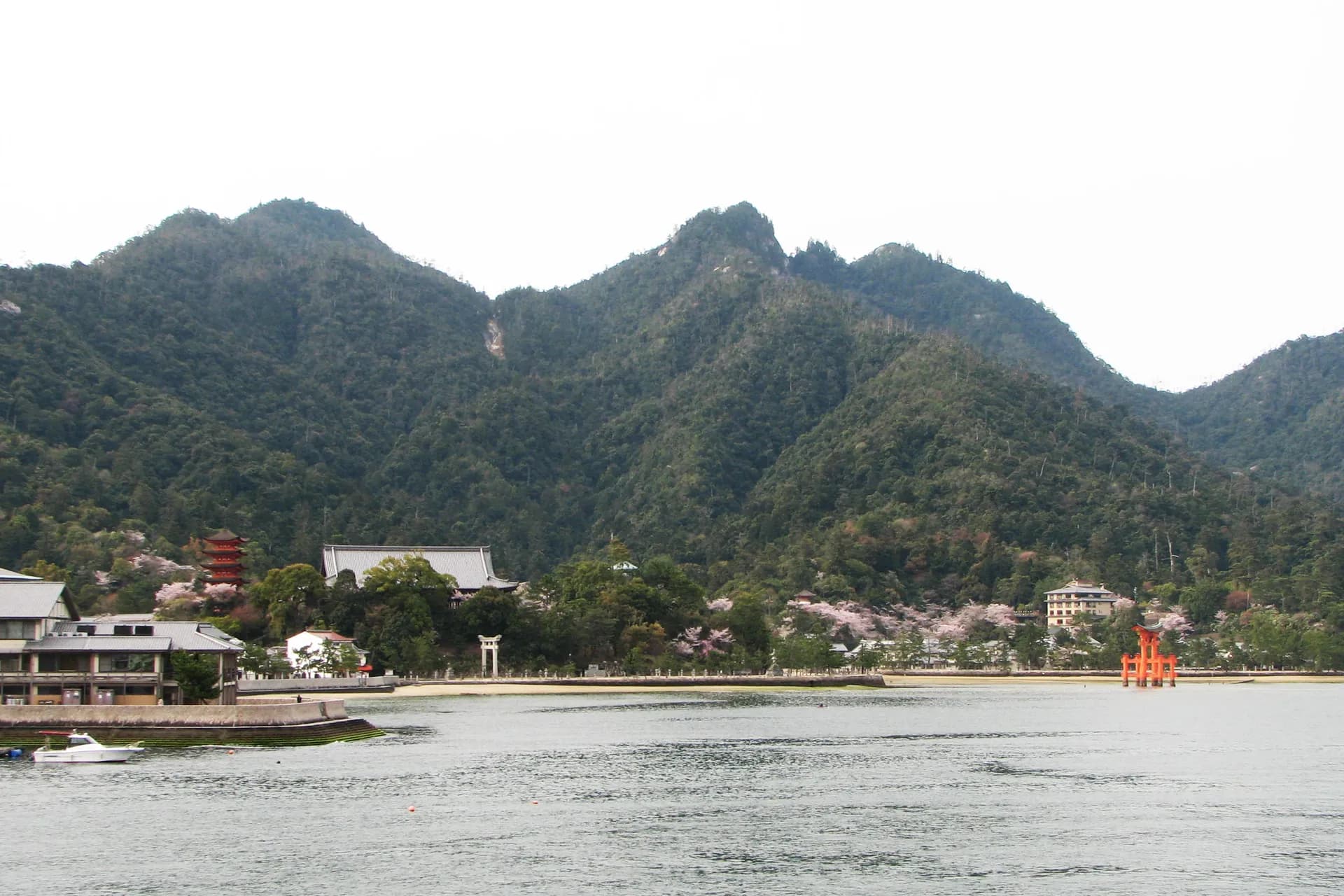 Miyajima Island Full Day