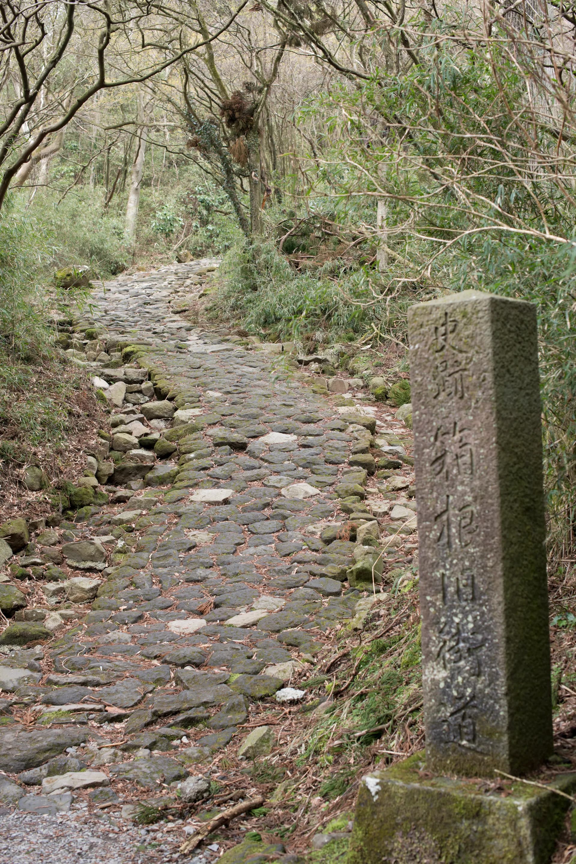 Old Tokaido Road Hiking