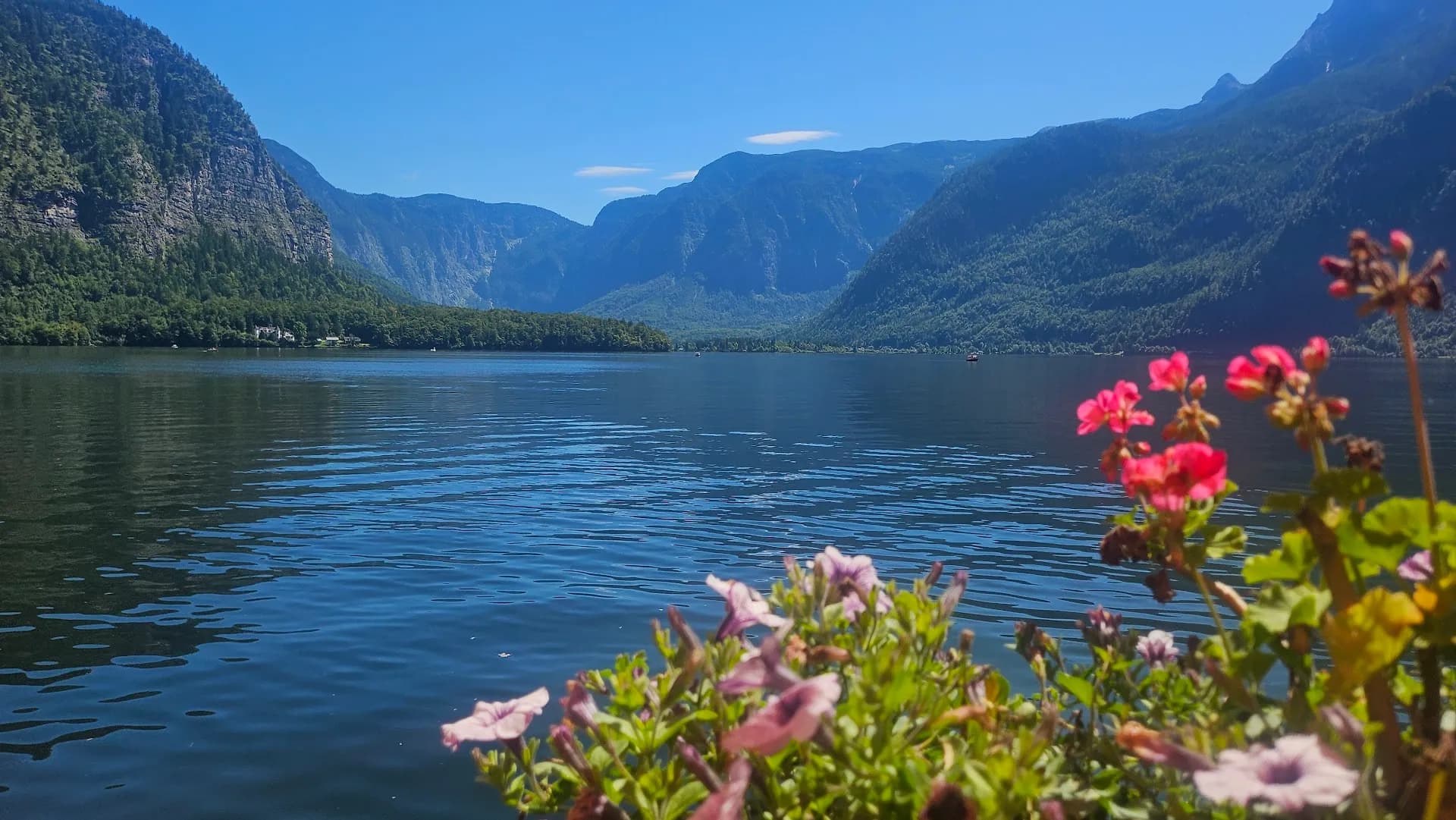 Hallstatt & Salzkammergut Lakes Day Tour