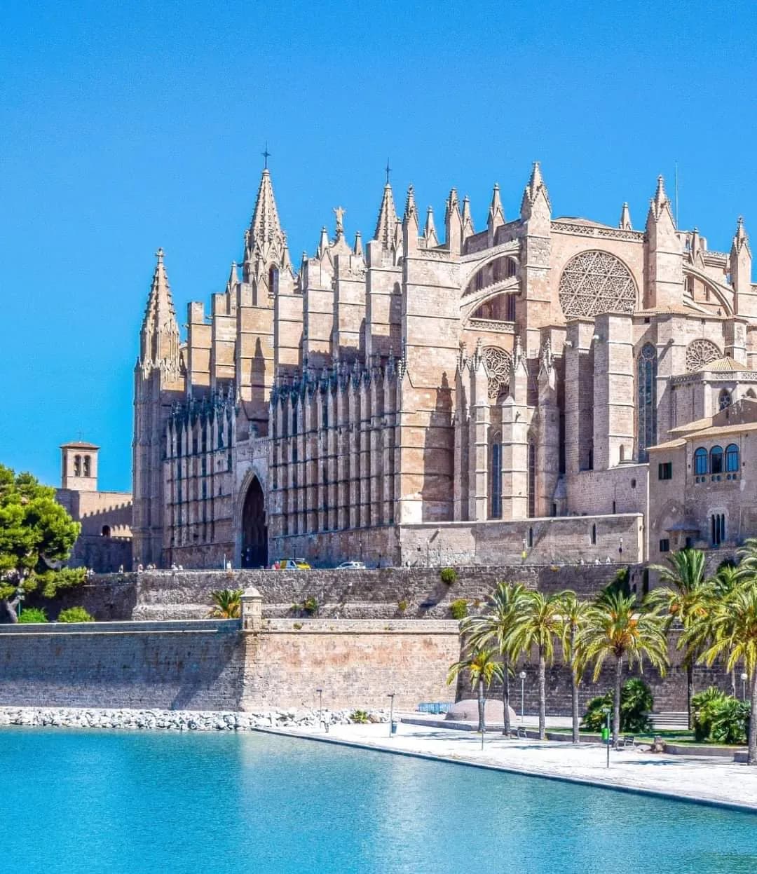 La Seu Cathedral Rooftop Tour