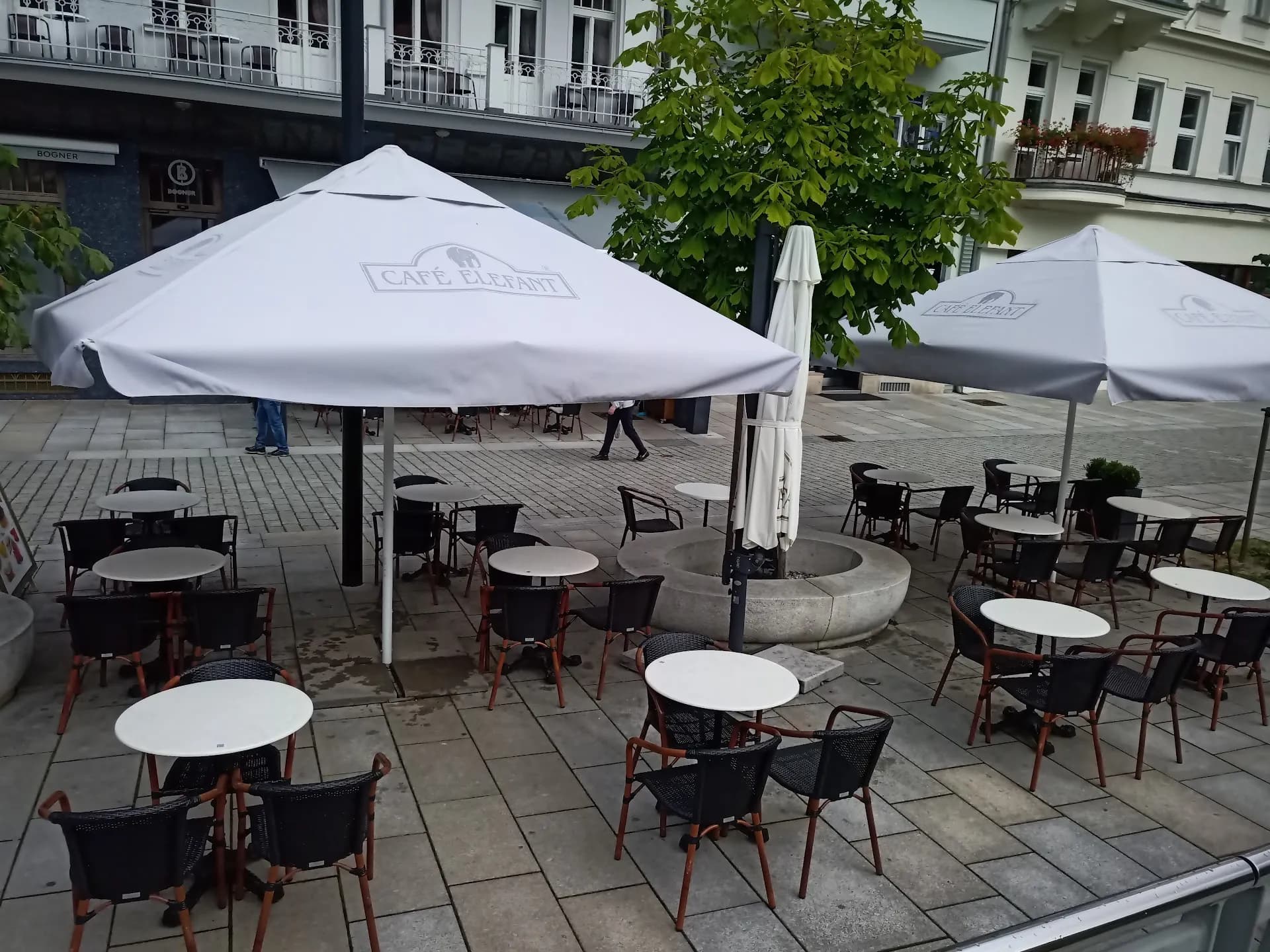 Cafe Elefant